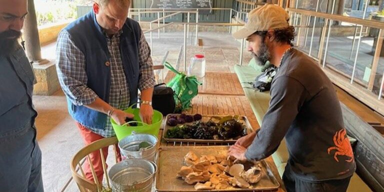 Taste_of_Coastal_Foraging_Experience_Timber_Cove_Jenner_3-768x576